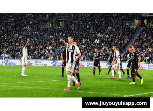 BVB阵容：一窥球员风采